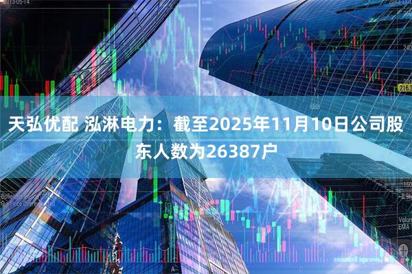 天弘优配 泓淋电力：截至2025年11月10日公司股东人数为26387户